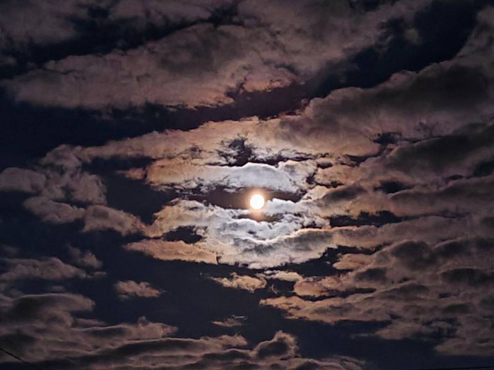 ��� ������������ ����� ������ ������� ����