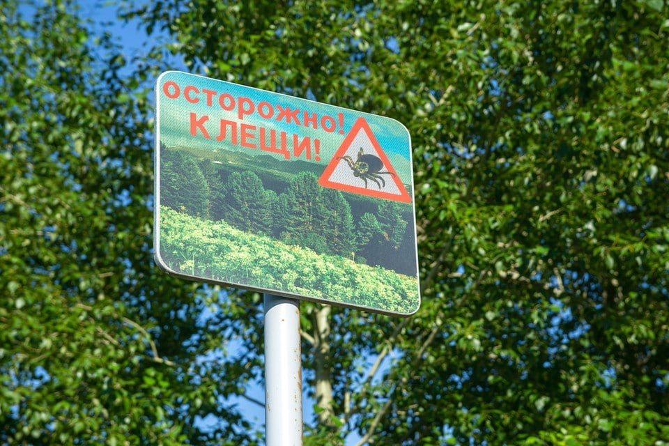 ���������� ����������� ������ ���������� ����������� ����