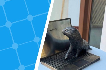 ���������� ������� ��� ��� ������ ���������� �������-�������� � ��