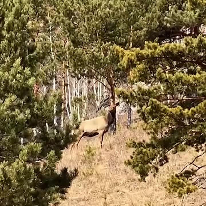 ���� �� ������������ ������ �� ����� ������, ��������� �� ��������, ��� ������ ����������