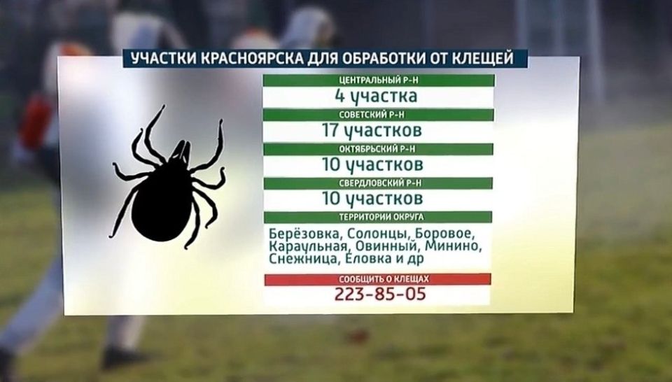 � ����������� ���� ������ �� ������ ���������� ������ 600 �������� �����