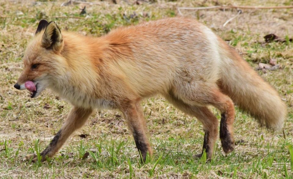 �������� ���� ��� �� ����������������: ������� ��������� �������������� �� � ��������� �� ���������