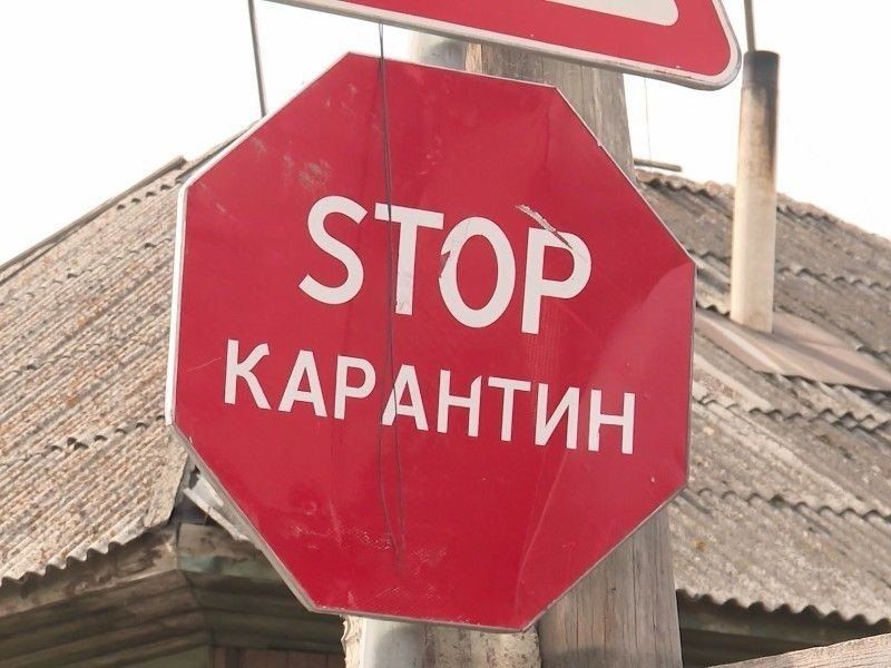 � ������������� ������ ����� �������� �� ���������