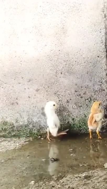 ������ ����!. ������-�����: ��� ������������ ���� � ������ �������� ������! ����� � ��� ������ ���������� ������ �� ������� ����� � ���������� ������