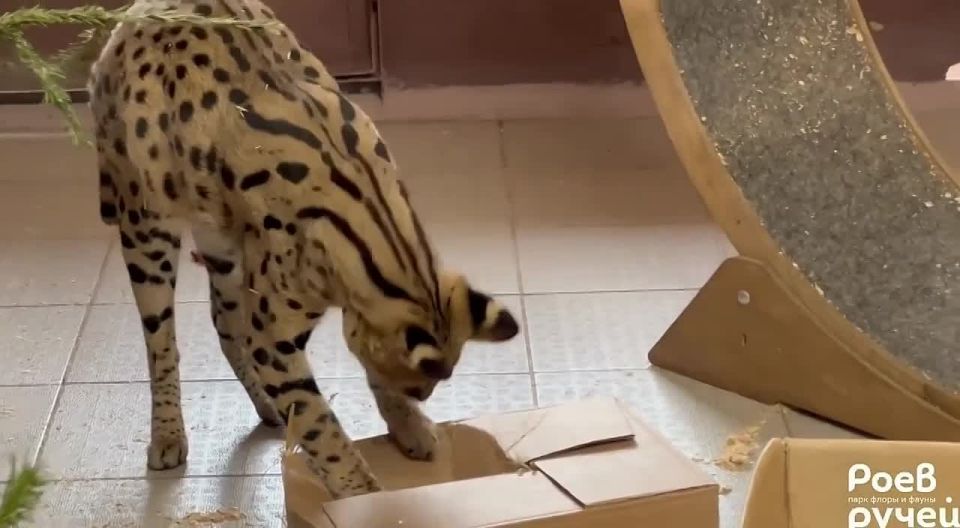 ��������� ������� ��� � �����!