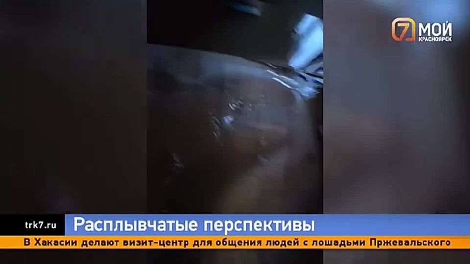 ��� �� ������ ����� ������ ��� � ����� �����, ����� ���������, �� ���������� �� ���������