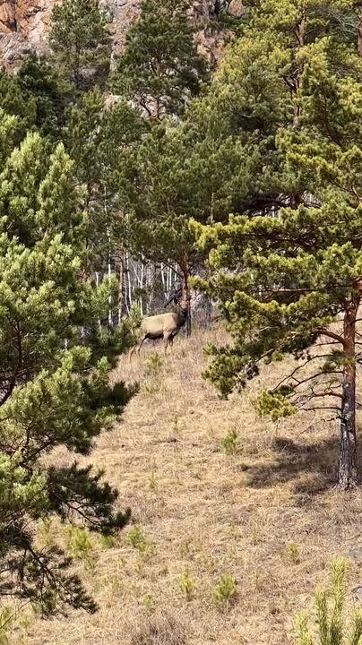 ����������� ������� �� ������������ ������!