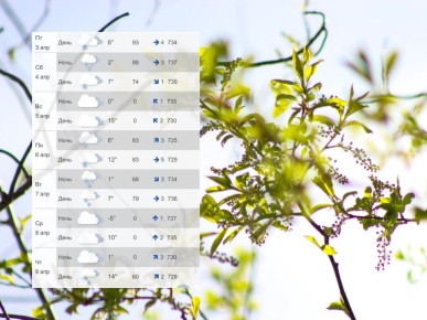 ����� ������ ���� � ������ ���� ������ � ����������