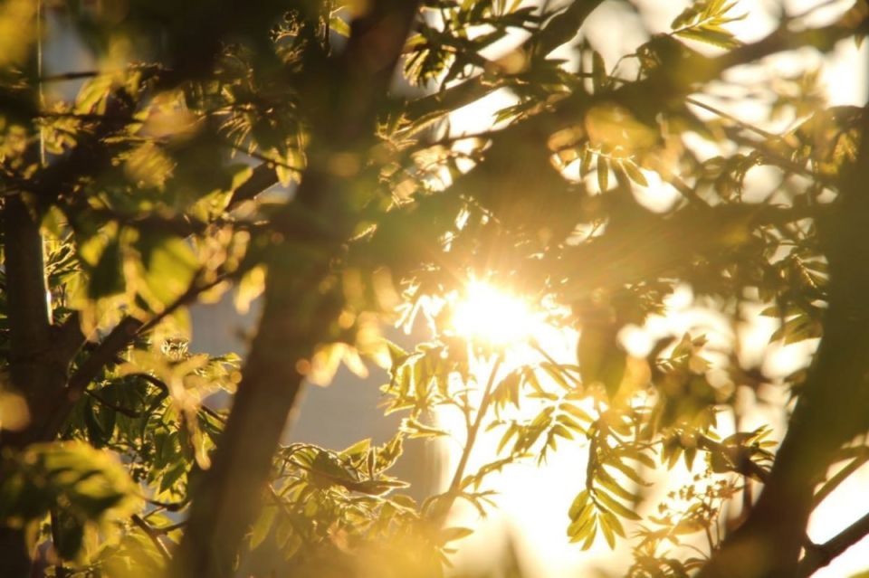 ���������� ��������� �� ����� ������ �������� �� �����