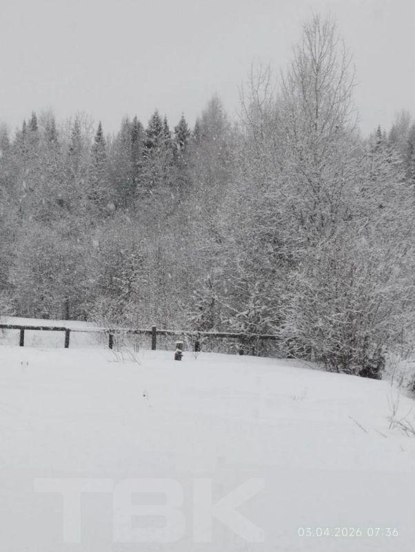 ����� ���������. �� ���� ������� ����������