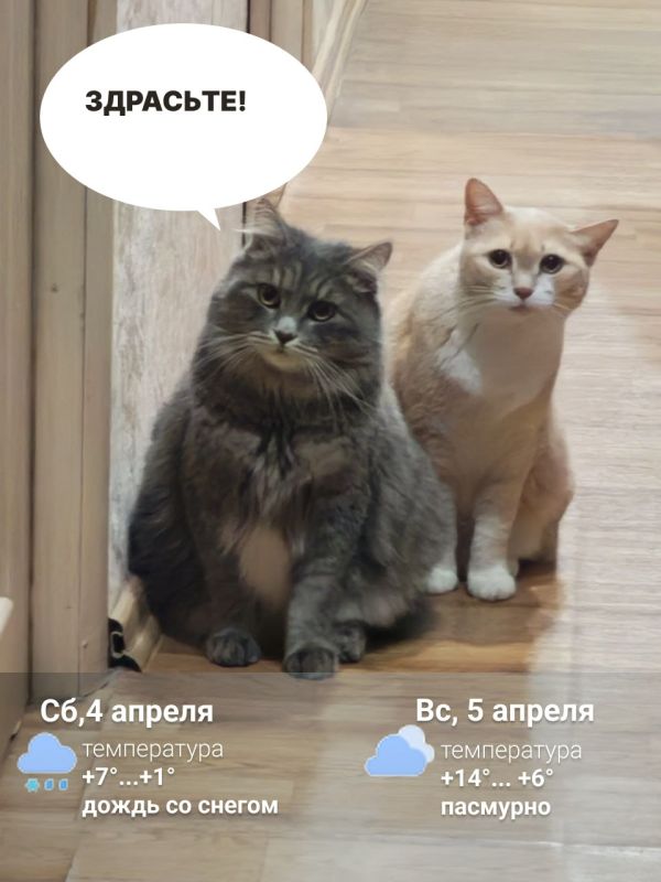 ��� � �������, �������� � ����������� �������� ��������� ��������� ����