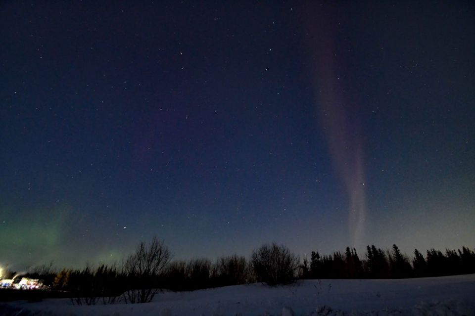 � ���� �� 3 ������ ��� ����� �������� ������ ��������� ������ ����������� ������� �Steve�