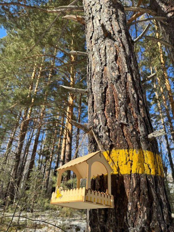 � �������� �������� ������ ������� ��� ����� ����� ��� ��������