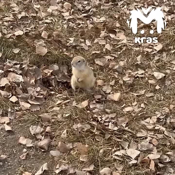 ������� ���������� �� ��������, ��, �������, ���� �� ����� �������� �������� ���� �����