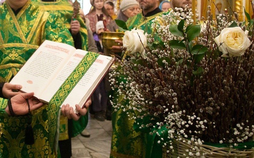 ������������ ���������� ������ ����������� ������� �����������