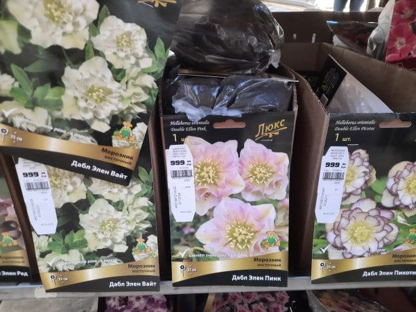 Что стоит избегать в садовых центрах весной?