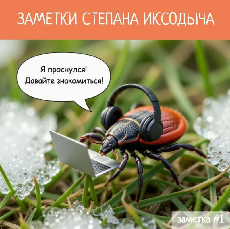 В Красноярске завёлся блогер-паразит