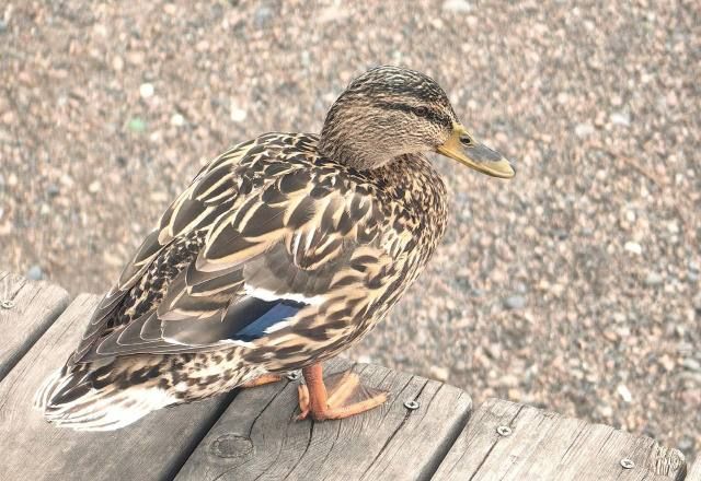 Переменчивая погода ждет красноярцев на рабочей неделе