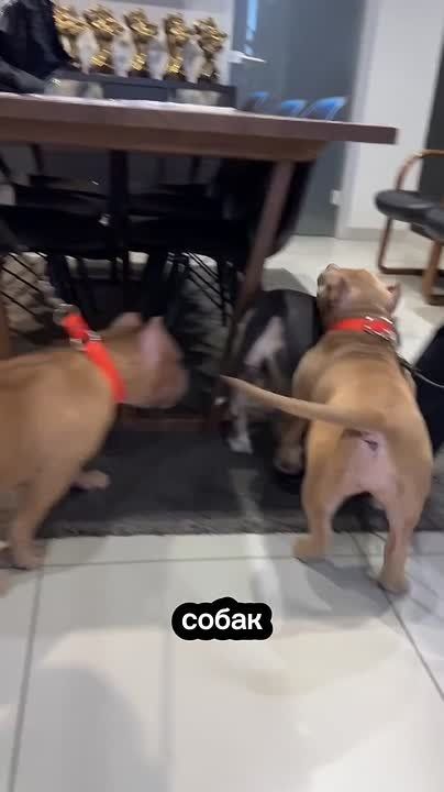 ����������� ����� ����� � ������������ ����� � � ������ ������� ����