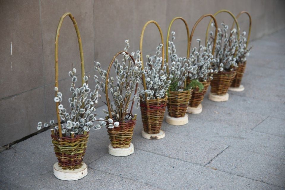 ������������ �������� �������� 5 ������ ������� �����������