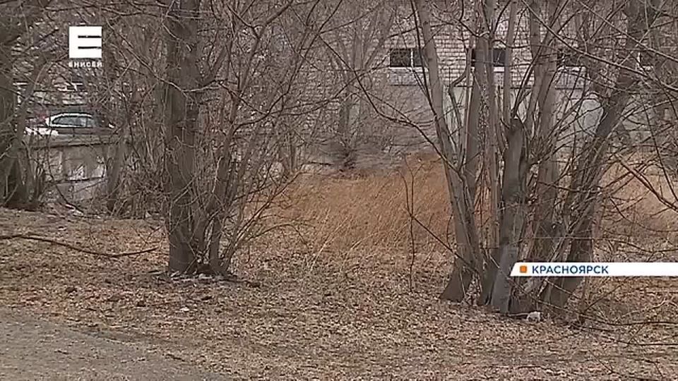 � ��������������� ������ ����������� �������� ����� �����