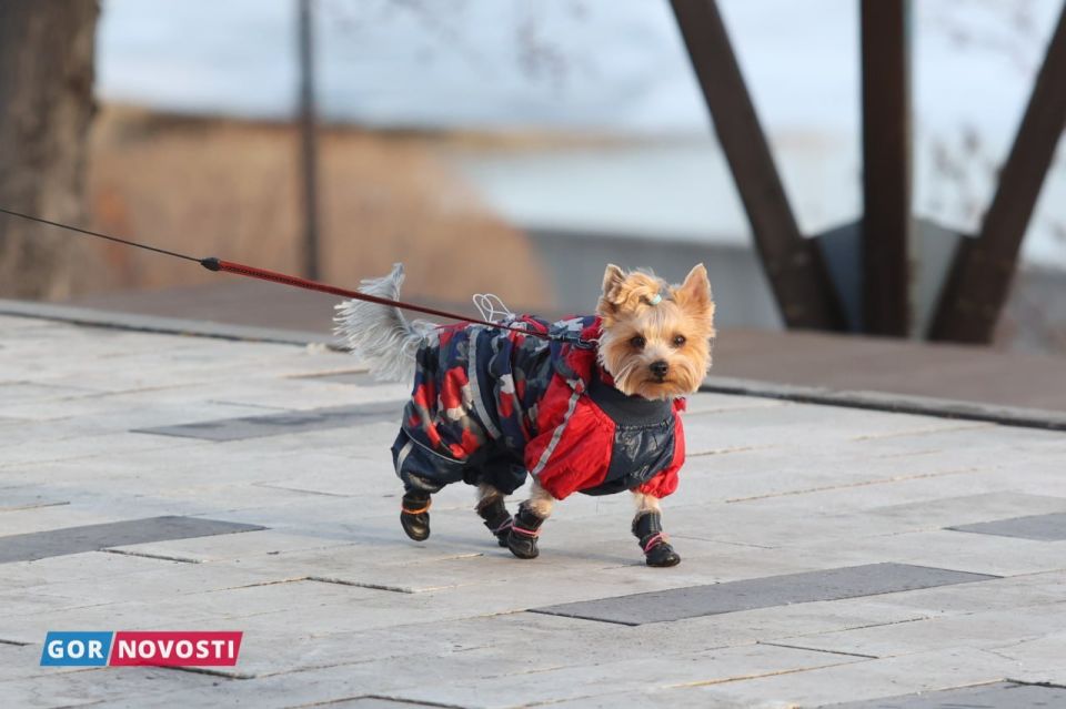 �� ��������� ������ � ����������� ����� ����������