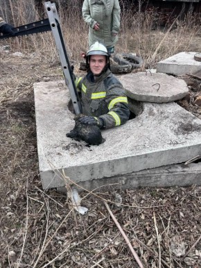 В Ужуре сотрудники МЧС спасли щенка, упавшего в 5-метровый колодец