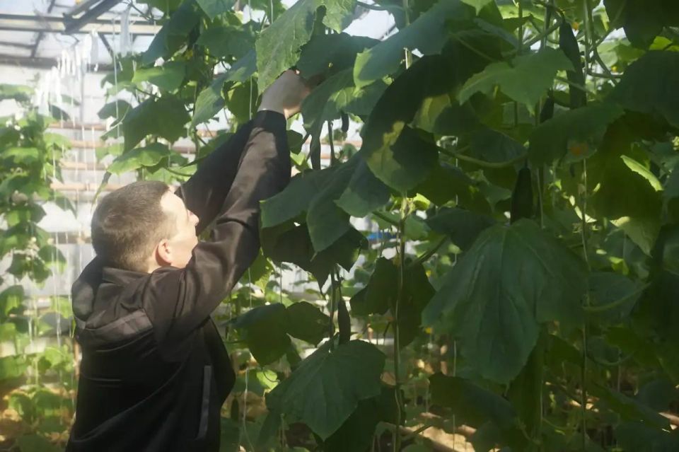 � ���-37 � ������ �������� ������� ����� 500 �� �������