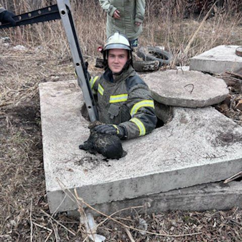 ��������� �������� ������� �� ������� � �����