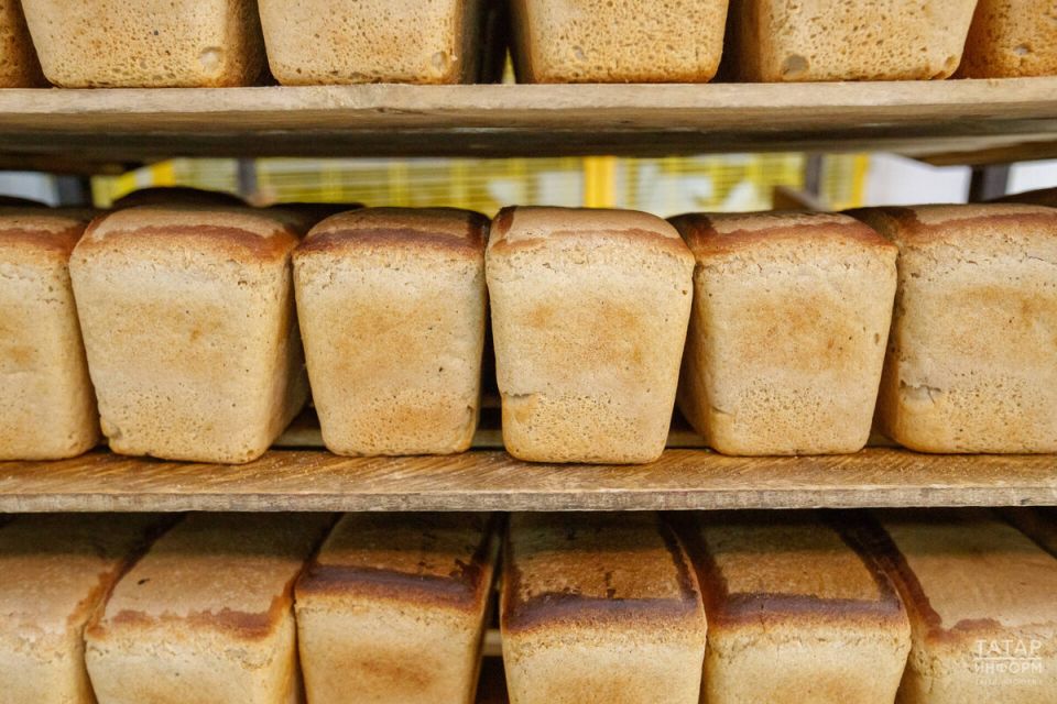 ����� ���� ������� �������� ������ ����� � ������