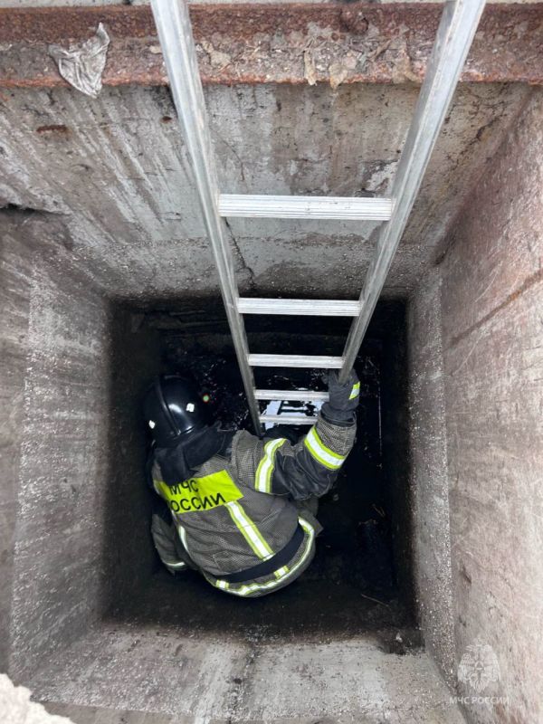 ���������� ��� ������ ��������� ����� �� �������