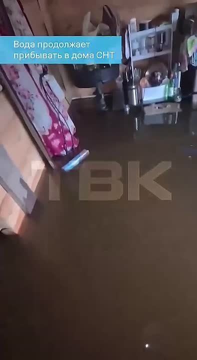 «К нам даже контейнер приплыл»: как живут люди в подтопленных СНТ Красноярска