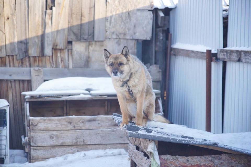 � ����������� ������� ���� ������ � ������� ��� ��������� ��������