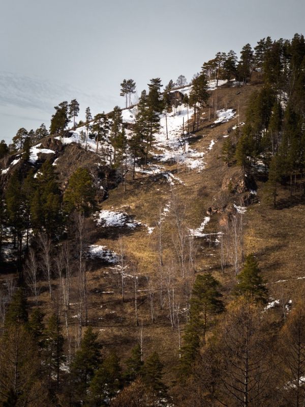 ������������ ������. ����: ���� ������� ������ ��� ����� � � MAX