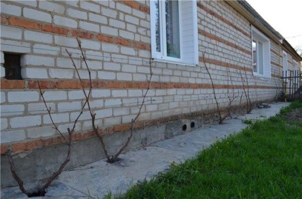 �������� � ��������: ������ �����, ���� � ������� ��������� ������