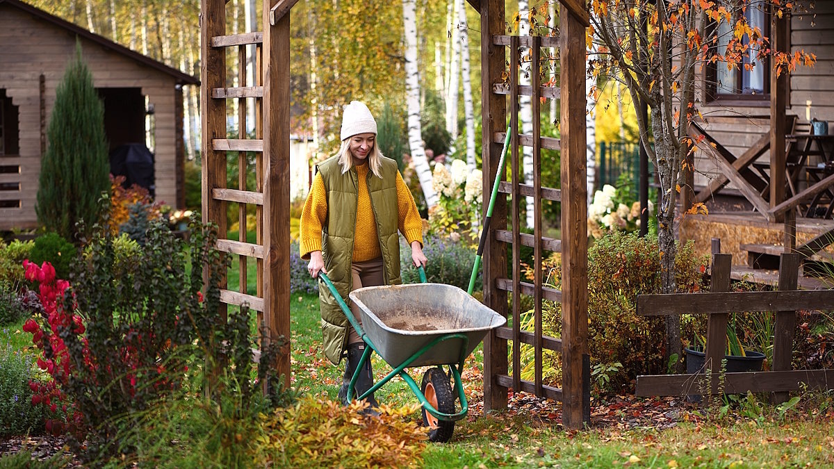 Октябрьские хлопоты в саду: комплект работ для успешной зимовки растений