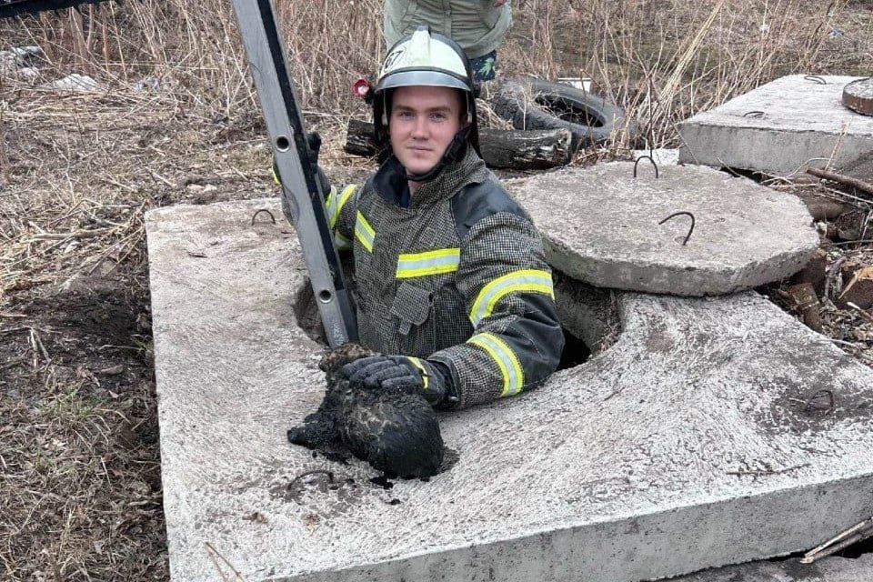 � ����� ��������� ��������� ����� �� ������������� �������