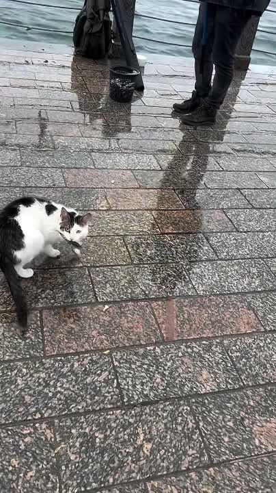 ������ ����! �� ��������� � �����������, � �� ����� � �� ����� ������������ �����!