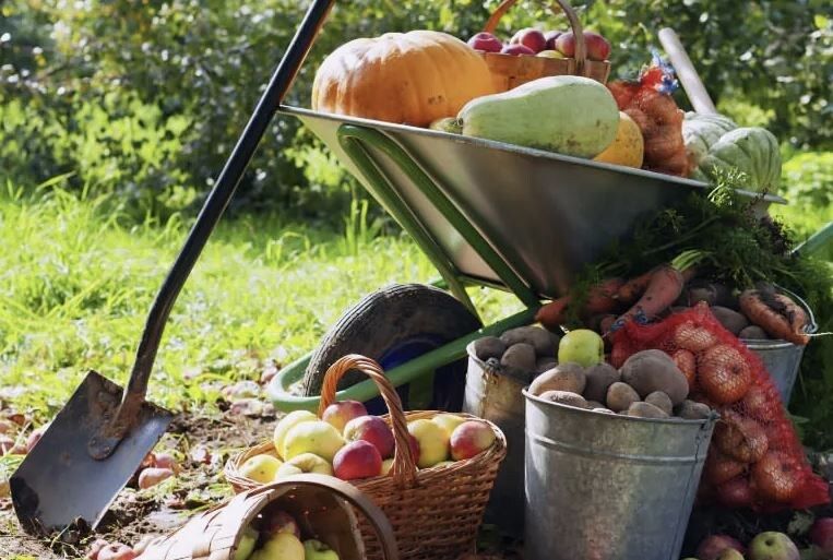 ������ �� �������: ������� ������, ������� ����� ������ ������