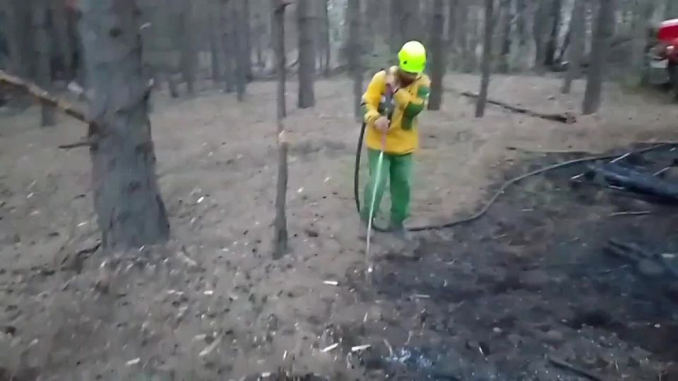 ������ �������� �������� ����� � ������������ ����������