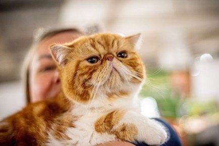 ��� � ����������� ������ ������������� �������� ����� � ��� ���������� �� ����������