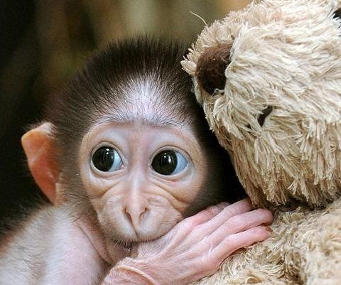 ��� ������ ����� ����� ����� �������: ������ ��� ������