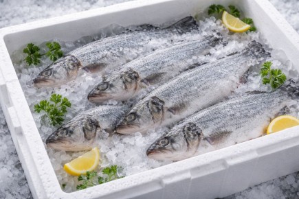 ������ ��������� ���������: ����� ���� �� ��������� ����