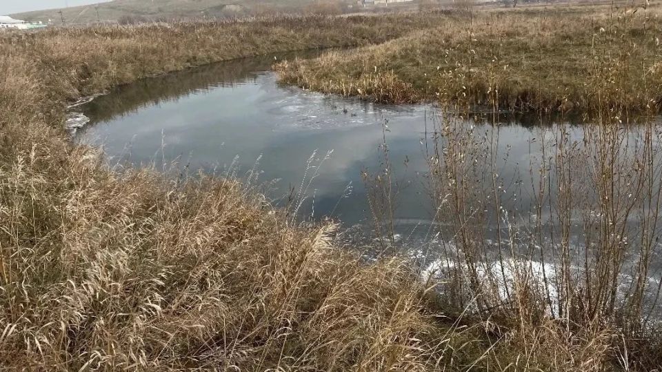 � ������������ ���� ����������� ���������� ����� �������� � ����