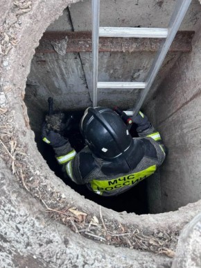 � ����� ������ �������������� � ������� �����