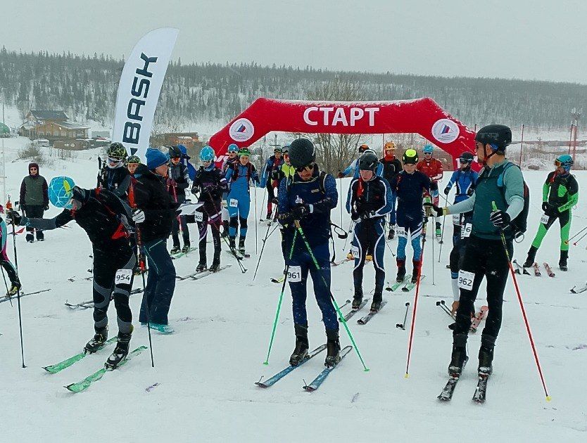 ������������ ���������� � ������� ����� ����� ������ �� ���-����������