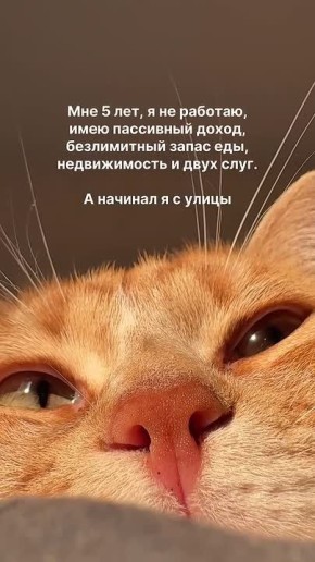 ������ ����!. ���� ����� ������� ��������� ��������� � ����� ���� � �����