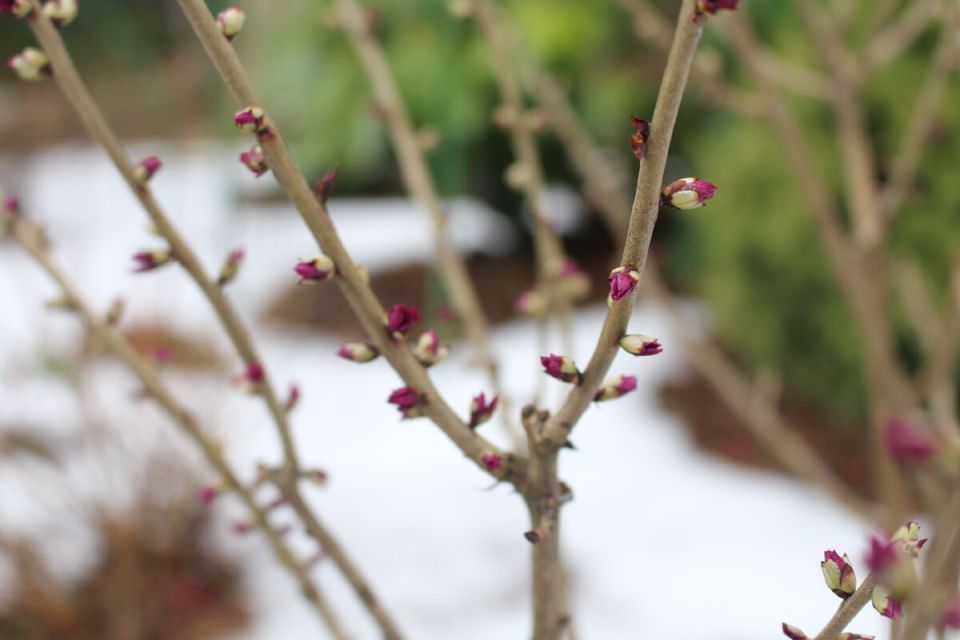 ������ ����������: ������� � ���������� � ����� ����