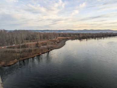 315 ������ - ��� ��� ���������� ���� ��� ���� ��������� ������