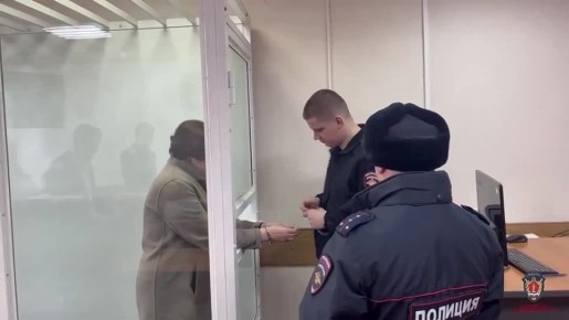 1234. Декриминализация Емельяновского района: директор детского дома заключена под стражу за взятку и фиктивное трудоустройство